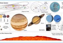 system justification